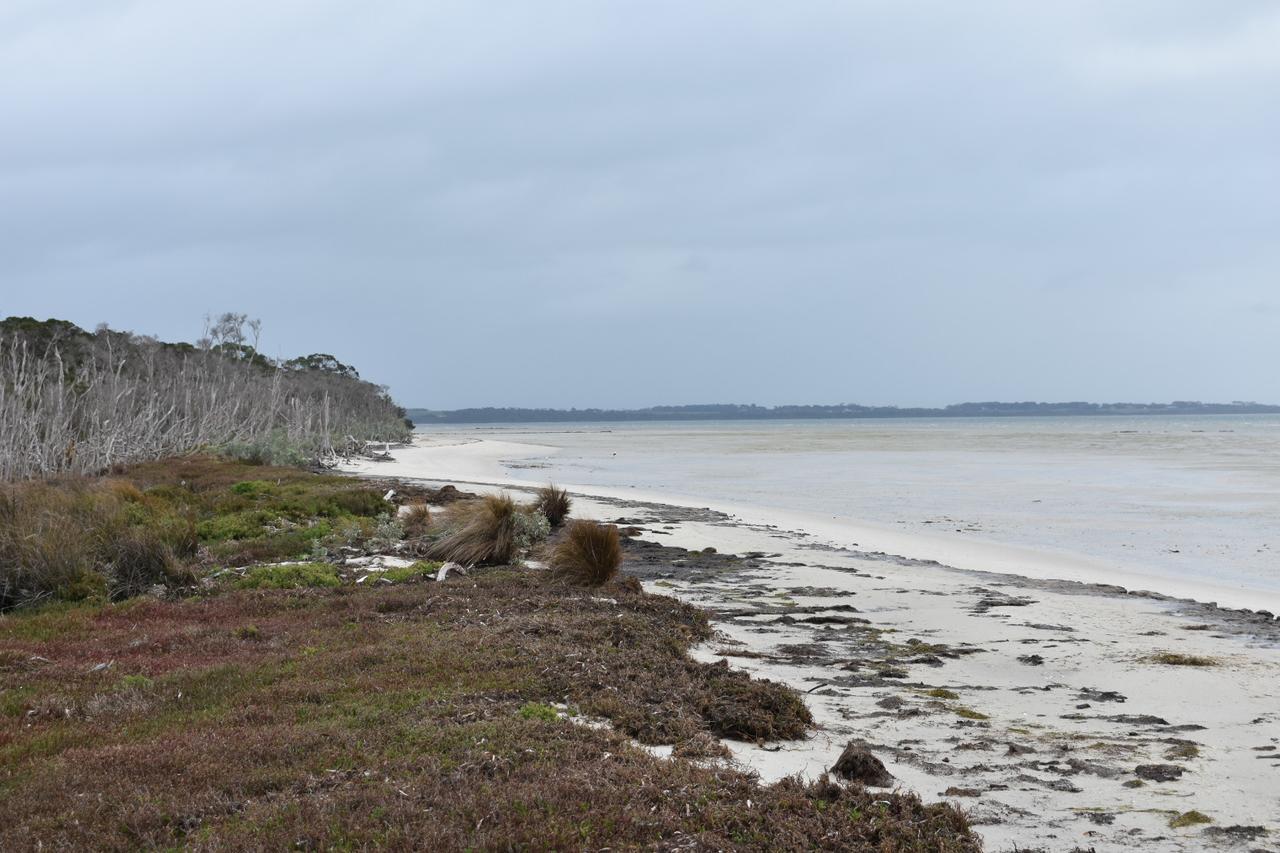 Tidal Dreaming Seaview Cottages Yanakie Eksteriør billede